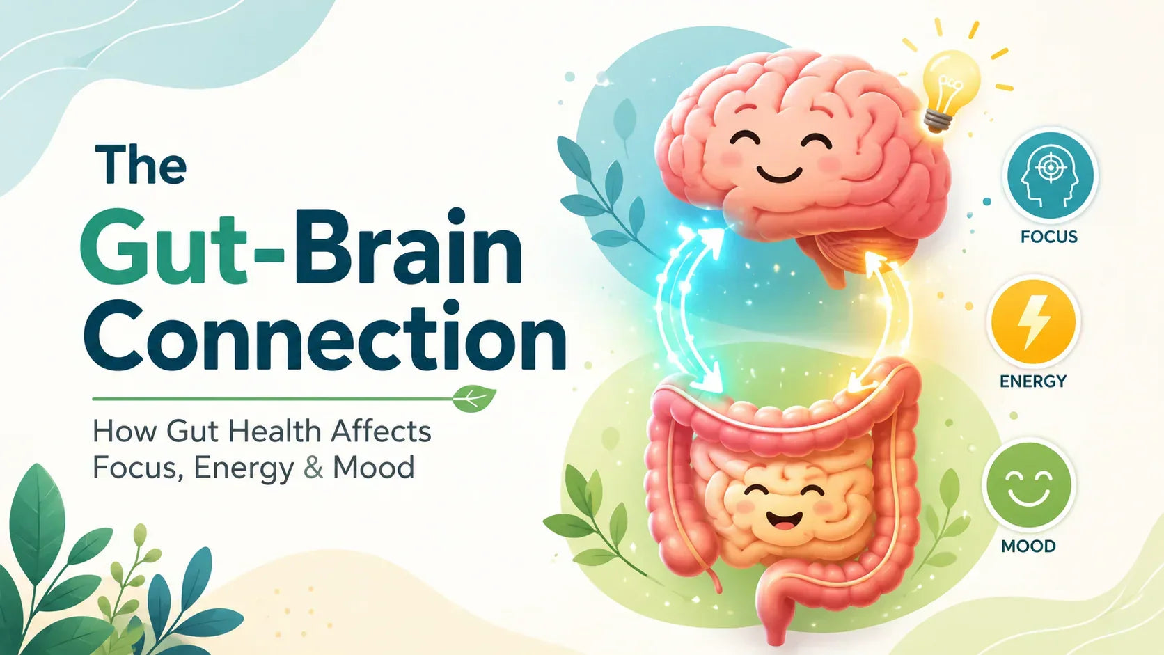 gut brain connection